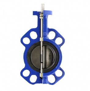 Water & Lug Concentric Butterfly Valve