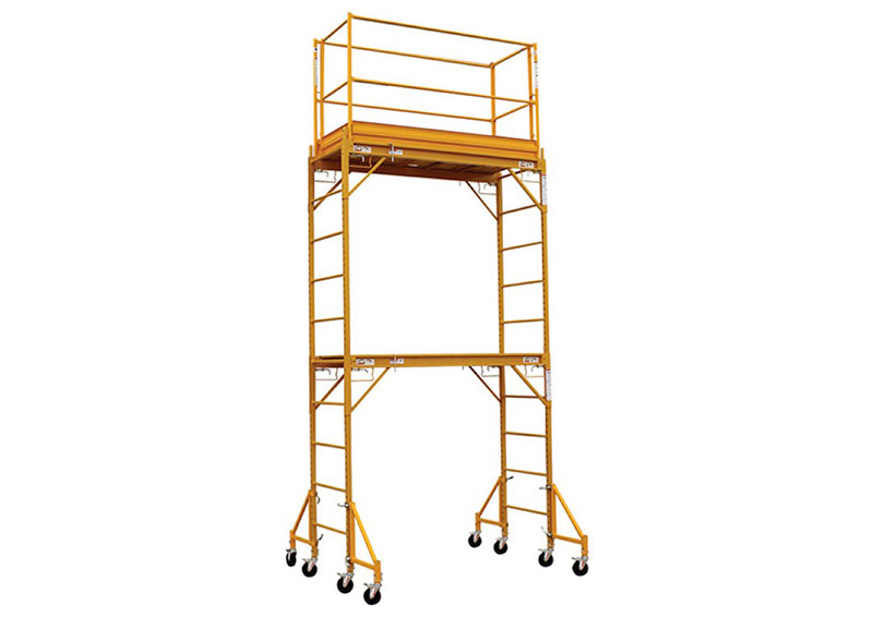 Multi functional scaffold