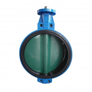 Water & Lug Concentric Butterfly Valve