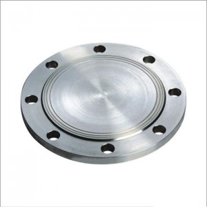 blind flange